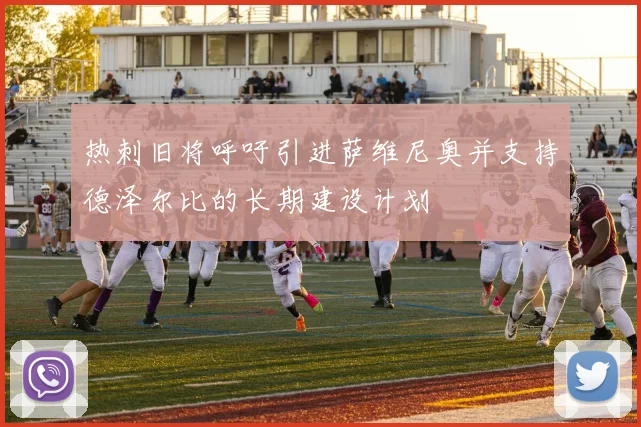 热刺旧将呼吁引进萨维尼奥并支持德泽尔比的长期建设计划